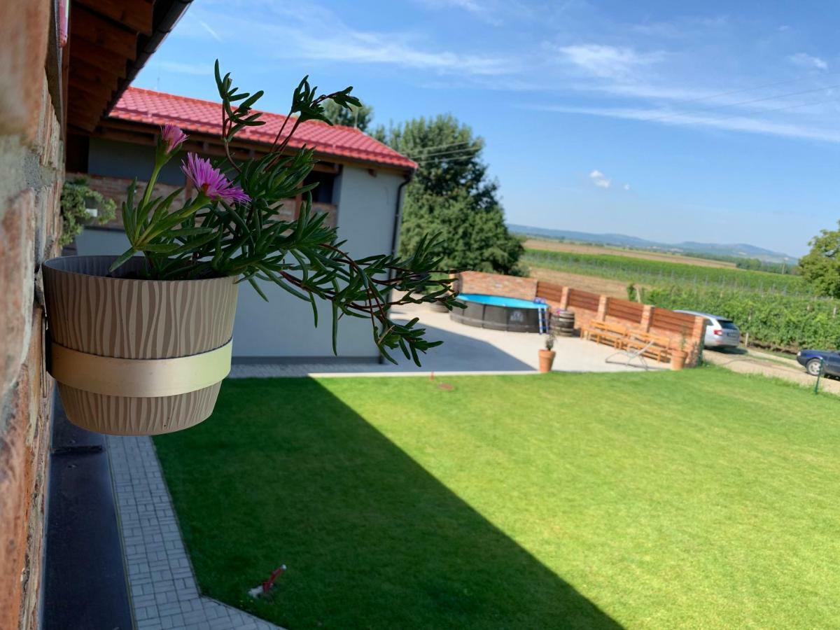 Penzion Vinarstvi Fabikovic Velké Bílovice Exterior foto